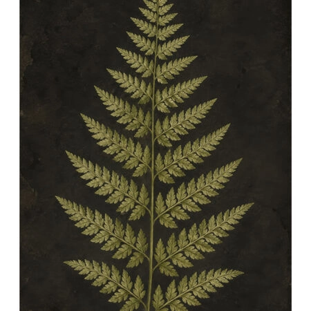 Poster VINTAGE DARK ACADEMIA PLANT 17 -  Sticky 2