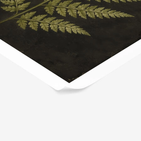 Poster VINTAGE DARK ACADEMIA PLANT 17 -  Sticky 1