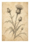 Poster VINTAGE DARK ACADEMIA PLANT 18