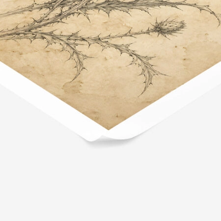 Poster VINTAGE DARK ACADEMIA PLANT 18 -  Sticky 1