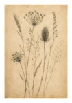 Poster VINTAGE DARK ACADEMIA PLANT 20