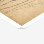 Poster VINTAGE DARK ACADEMIA PLANT 20
