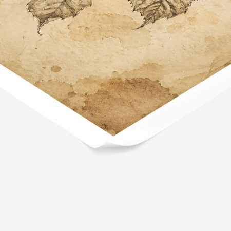 Poster VINTAGE DARK ACADEMIA PLANT 21 -  Sticky 1