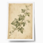 Poster VINTAGE DARK ACADEMIA PLANT 24