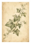 Poster VINTAGE DARK ACADEMIA PLANT 24