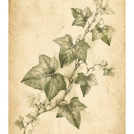 Poster VINTAGE DARK ACADEMIA PLANT 24 -  Sticky 2