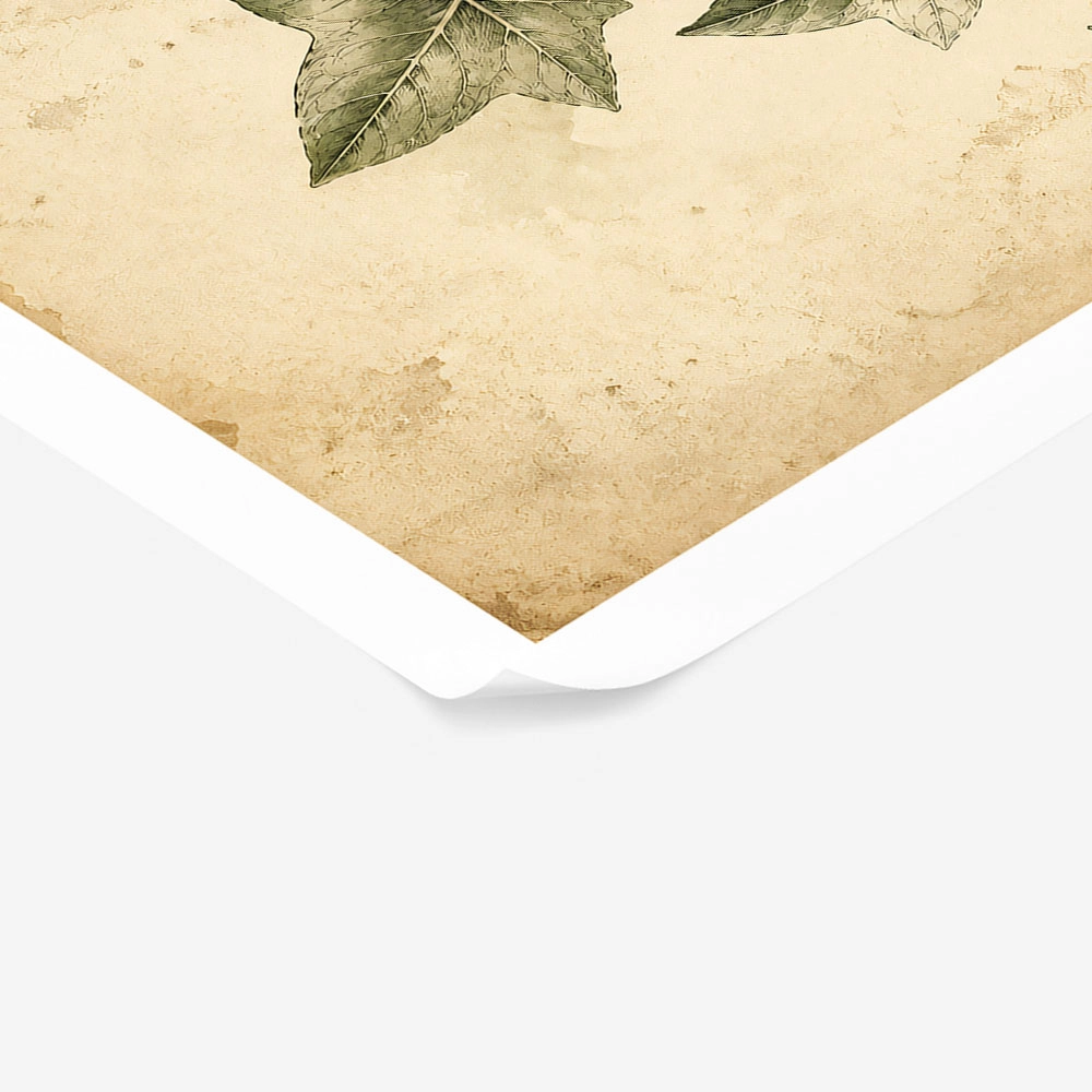 Poster VINTAGE DARK ACADEMIA PLANT 24