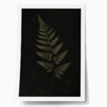 Poster VINTAGE DARK ACADEMIA PLANT 28