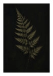 Poster VINTAGE DARK ACADEMIA PLANT 28