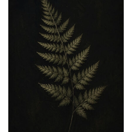 Poster VINTAGE DARK ACADEMIA PLANT 28 -  Sticky 2