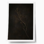 Poster VINTAGE DARK ACADEMIA PLANT 29