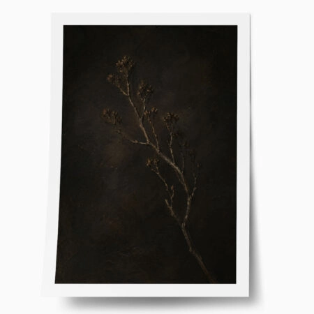 Poster VINTAGE DARK ACADEMIA PLANT 29 - 