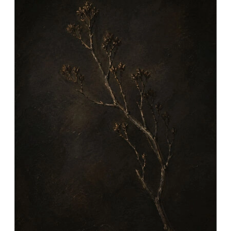Poster VINTAGE DARK ACADEMIA PLANT 29 -  Sticky 2