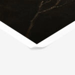 Poster VINTAGE DARK ACADEMIA PLANT 29