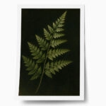 Poster VINTAGE DARK ACADEMIA PLANT 30