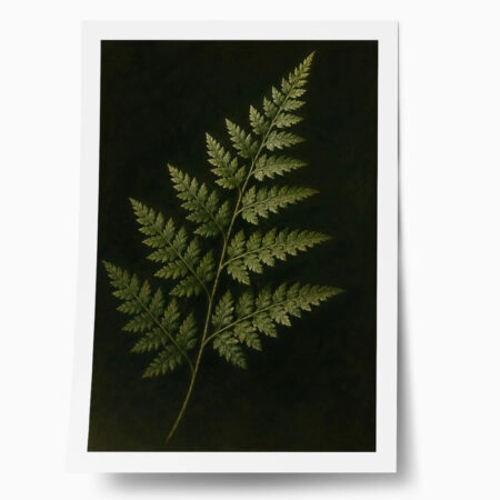 Poster VINTAGE DARK ACADEMIA PLANT 30 - 
