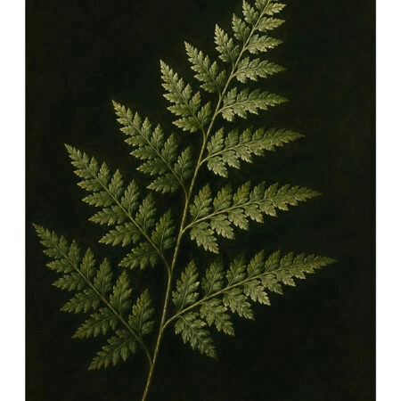 Poster VINTAGE DARK ACADEMIA PLANT 30 -  Sticky 2