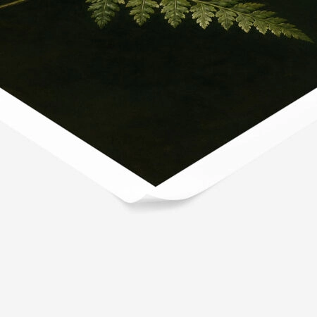 Poster VINTAGE DARK ACADEMIA PLANT 30 -  Sticky 1