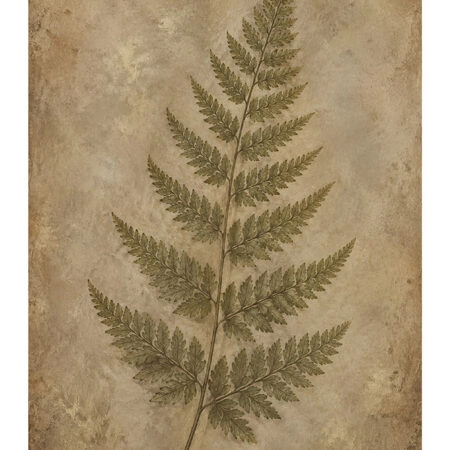 Poster VINTAGE DARK ACADEMIA PLANT 31 -  Sticky 2