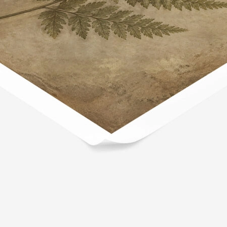 Poster VINTAGE DARK ACADEMIA PLANT 31 -  Sticky 1
