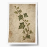 Poster VINTAGE DARK ACADEMIA PLANT 33