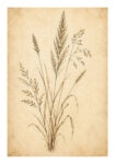 Poster VINTAGE DARK ACADEMIA PLANT 34