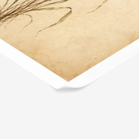 Poster VINTAGE DARK ACADEMIA PLANT 34 -  Sticky 1