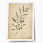 Poster VINTAGE DARK ACADEMIA PLANT 35