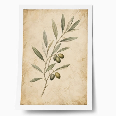 Poster VINTAGE DARK ACADEMIA PLANT 35 - 