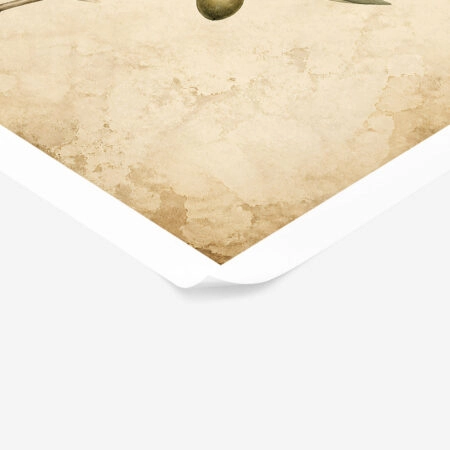 Poster VINTAGE DARK ACADEMIA PLANT 35 -  Sticky 1