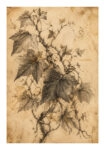 Poster VINTAGE DARK ACADEMIA PLANT 5