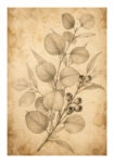 Poster VINTAGE DARK ACADEMIA PLANT 7