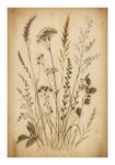 Poster VINTAGE DARK ACADEMIA PLANTS