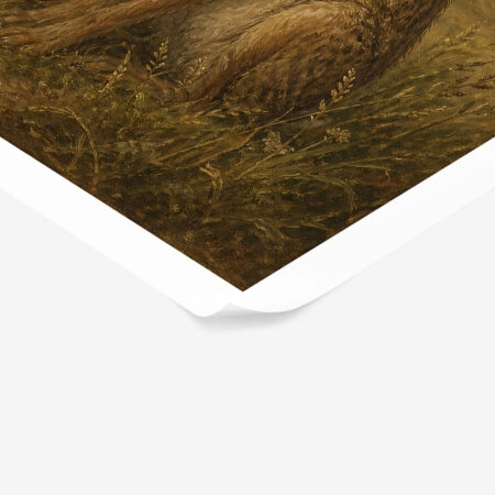 Poster VINTAGE DARK ACADEMIA RABBIT 3 -  Sticky 1