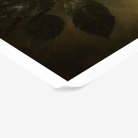 Poster VINTAGE DARK ACADEMIA ROSE 2 -  Sticky 1