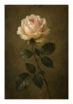 Poster VINTAGE DARK ACADEMIA ROSE 3