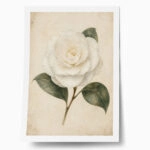Poster VINTAGE DARK ACADEMIA ROSE 4
