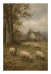 Poster VINTAGE DARK ACADEMIA SHEEP