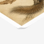 Poster VINTAGE DARK ACADEMIA SQUIRREL