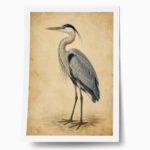 Poster VINTAGE DARK ACADEMIA STORK 2