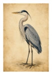 Poster VINTAGE DARK ACADEMIA STORK 2