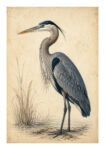 Poster VINTAGE DARK ACADEMIA STORK