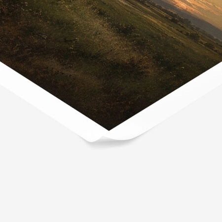 Poster VINTAGE DARK ACADEMIA SUNSET -  Sticky 1