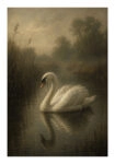 Poster VINTAGE DARK ACADEMIA SWAN 2