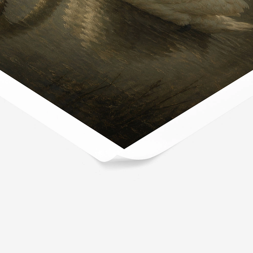 Poster VINTAGE DARK ACADEMIA SWAN 2
