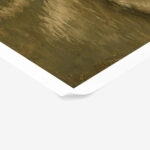 Poster VINTAGE DARK ACADEMIA SWAN 3