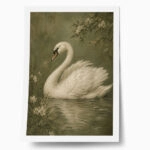Poster VINTAGE DARK ACADEMIA SWAN 4