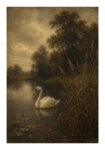 Poster VINTAGE DARK ACADEMIA SWAN