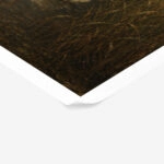 Poster VINTAGE DARK ACADEMIA SWAN