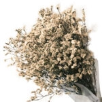 ΑΠΟΞΗΡΑΜΕΝΟ ΜΠΕΖ ΜΠΟΥΚΕΤΟ ΛΕΙΜΩΝΙΟ 120gr - Υ80-90cm 30/ΚΙΒ